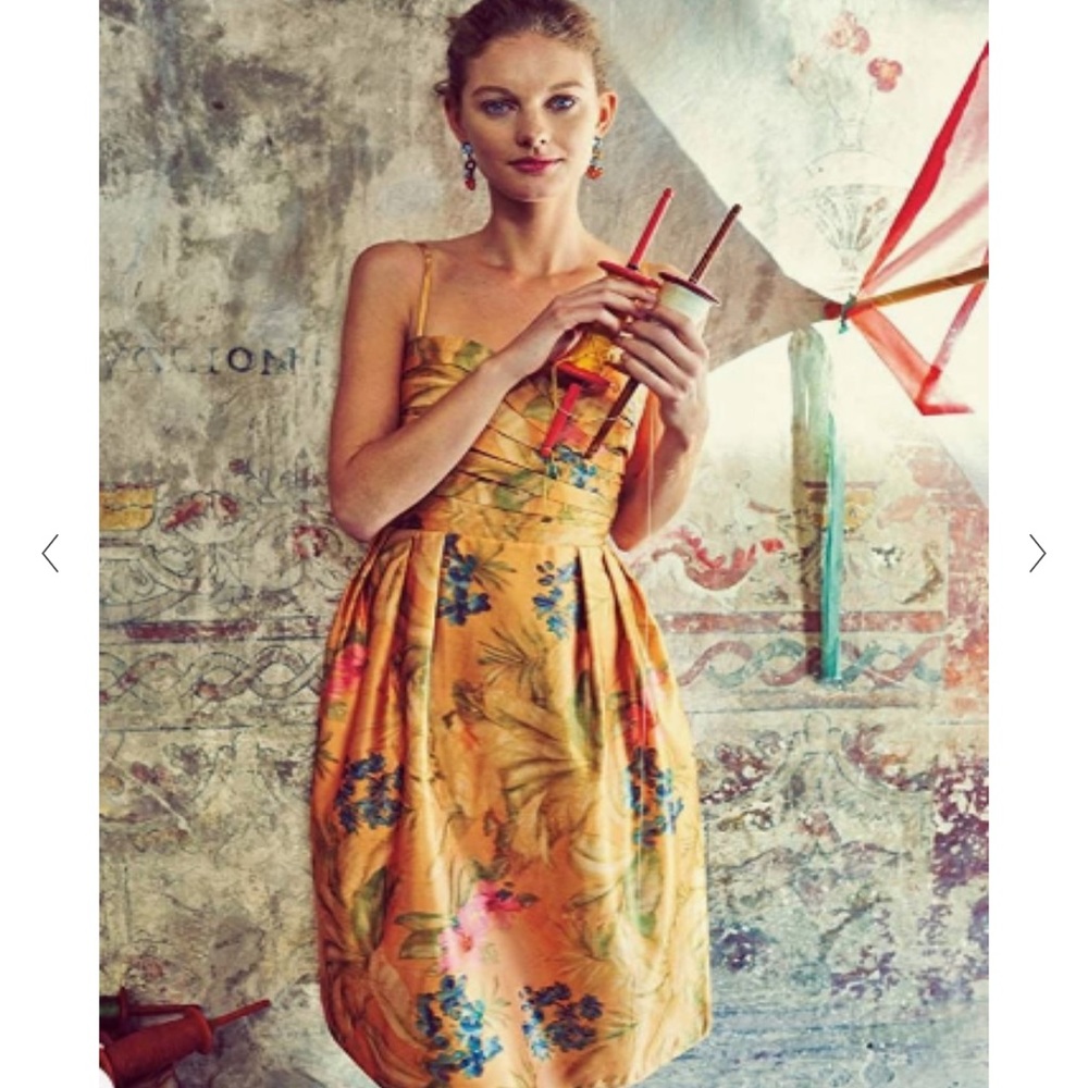 Anthropologie Botanica Floral Dress By James Coviello 2